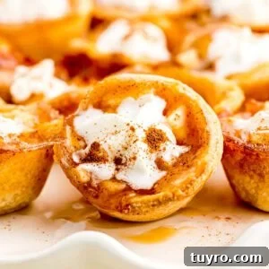Mini Texas Sheet Cake Bites Recipe — Perfect Chocolate Party Treat 13 Pumpkin spice cupcakes with whipped cream.