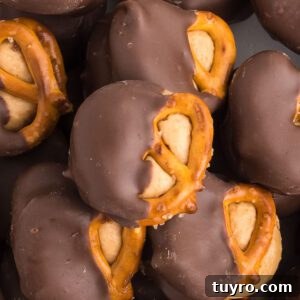 Mini Texas Sheet Cake Bites Recipe — Perfect Chocolate Party Treat 15 img 93828 14