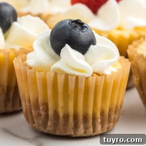 Mini Texas Sheet Cake Bites Recipe — Perfect Chocolate Party Treat 16 img 93828 15