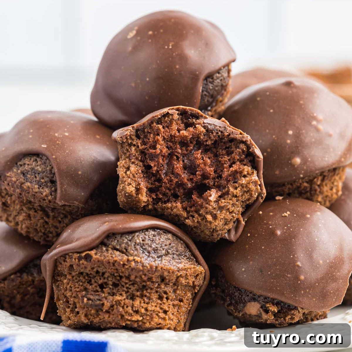 Mini Texas Sheet Cake Bites Recipe — Perfect Chocolate Party Treat 17 img 93828 16