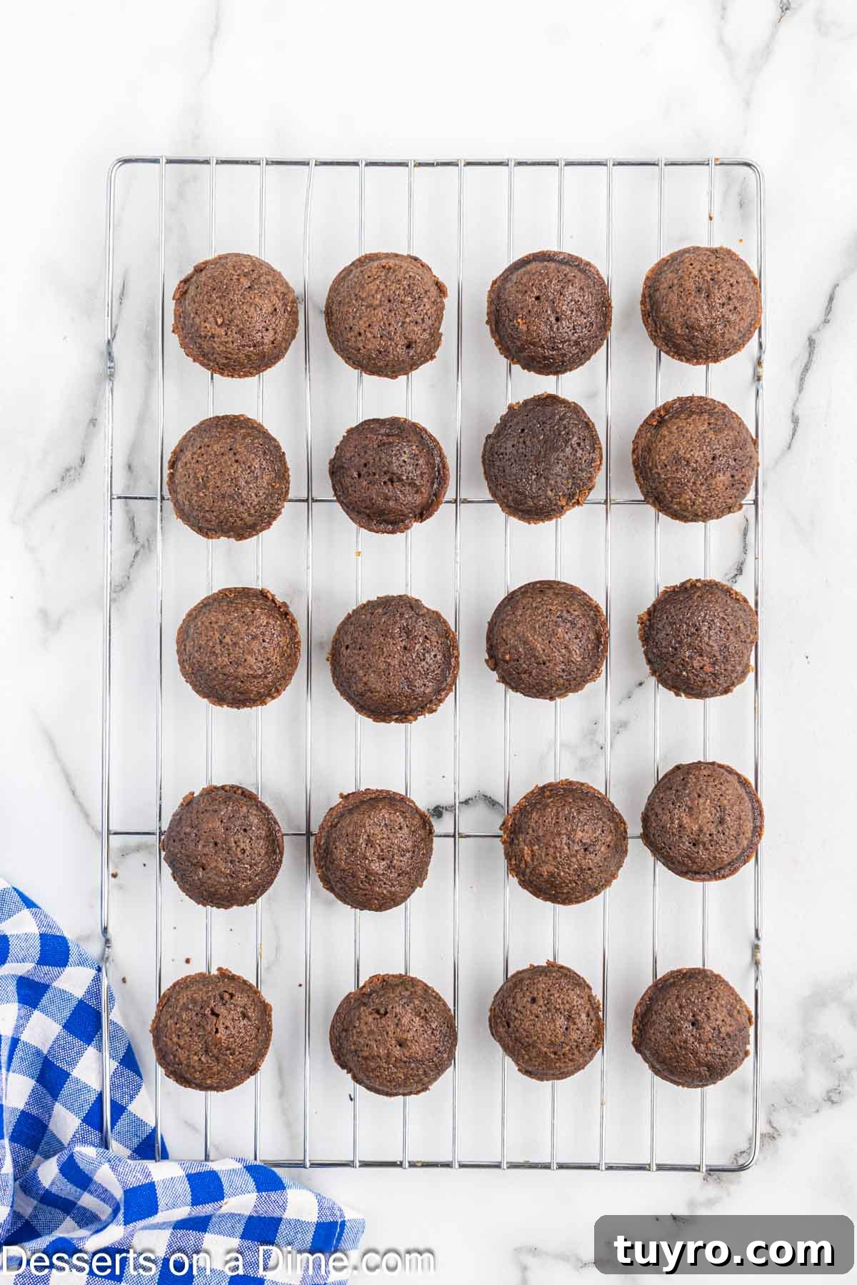 Mini Texas Sheet Cake Bites Recipe — Perfect Chocolate Party Treat 8 Cake bites on wire rack.