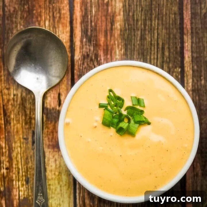 chipotle sauce topped with chopped green onions next to a vintage spoon on a wooden table