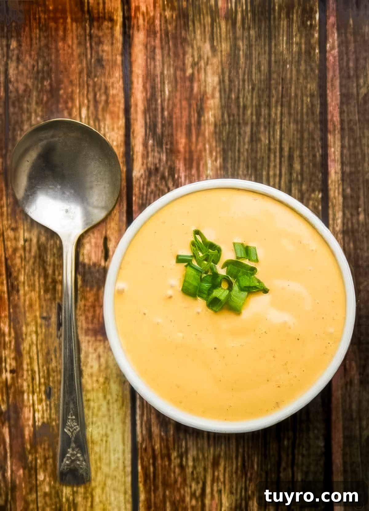 chipotle sauce topped with chopped green onions next to a vintage spoon on a wooden table