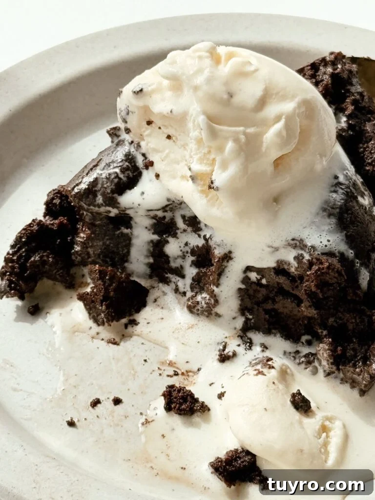Single Serve Brookie Recipe for One 5 final brookie with ice cream melted on top