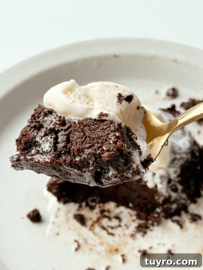 Single Serve Brookie Recipe for One 6 final dessert on a spoon