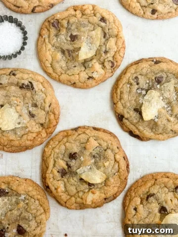 a bunch of chocolate chip potato chip cookies with a little salt on the side.