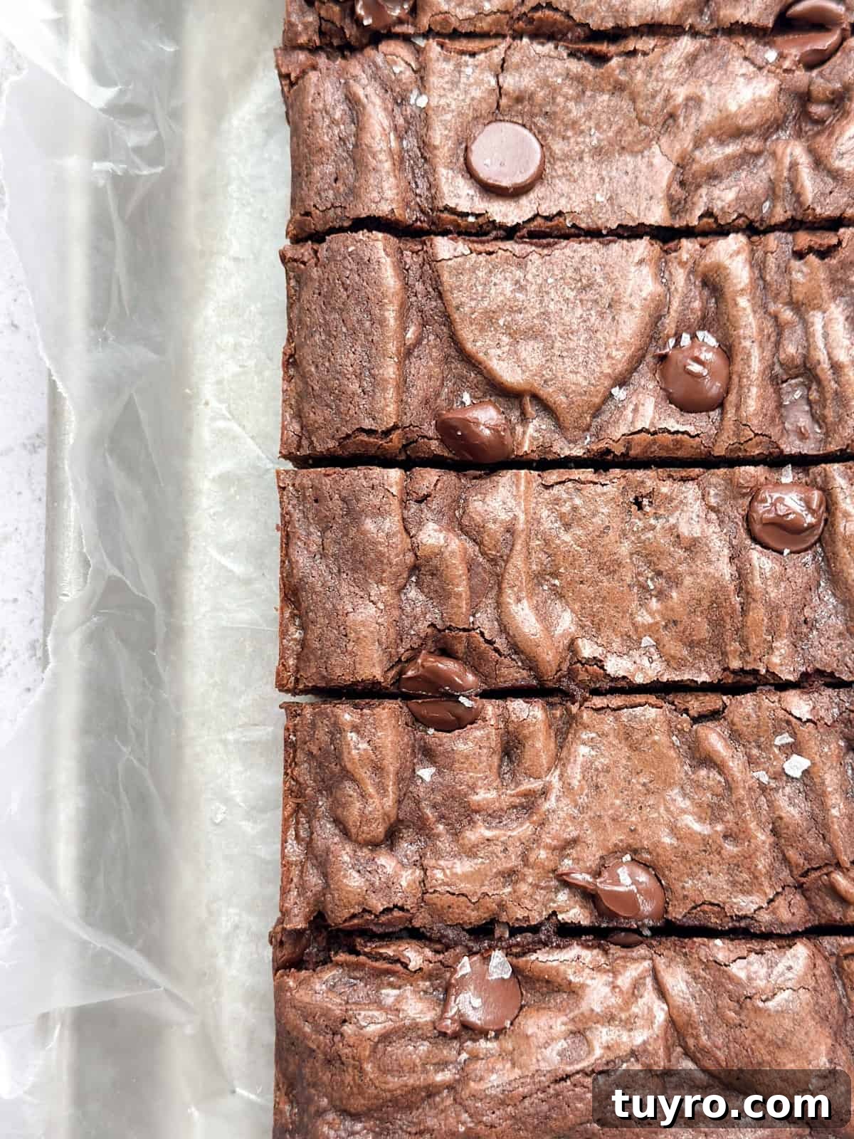 a close up of the small batch brownies all cut into rectangles.