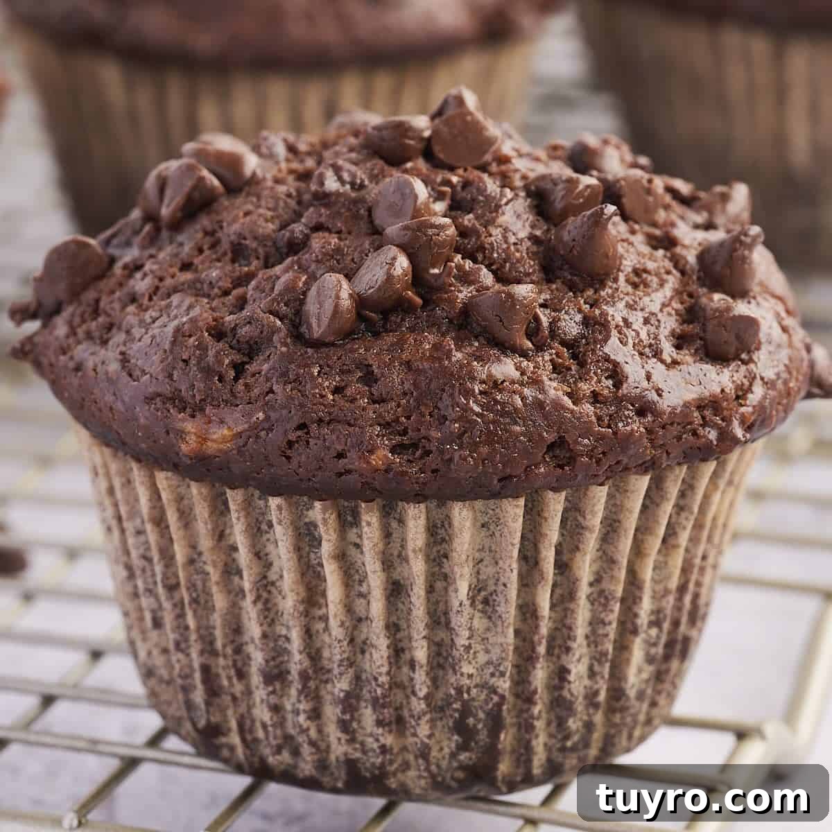 A close-up of a moist and fluffy double chocolate banana muffin with gooey chocolate chips on top.