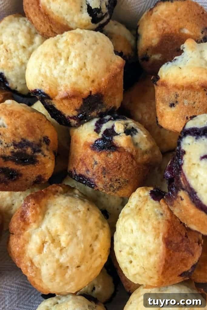 Kid-Approved Mini Blueberry Muffins Recipe 3 mini blueberry muffins