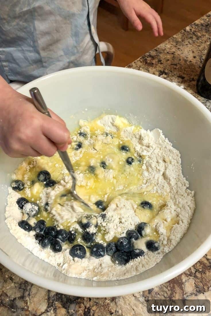 Kid-Approved Mini Blueberry Muffins Recipe 7 Combining wet and dry ingredients with blueberries to make a batch of mini muffins.
