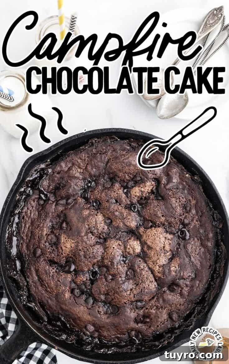 Image for Campfire Chocolate Cake