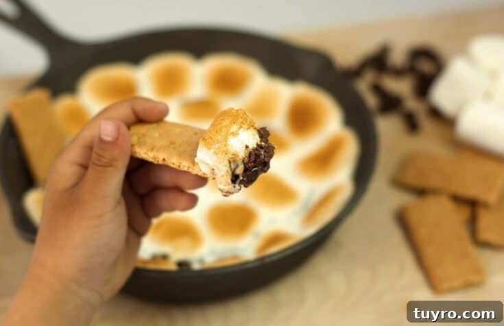 Image for Smores Dip
