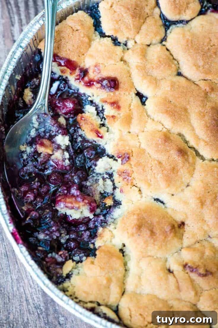 Image for Blueberry Cobbler