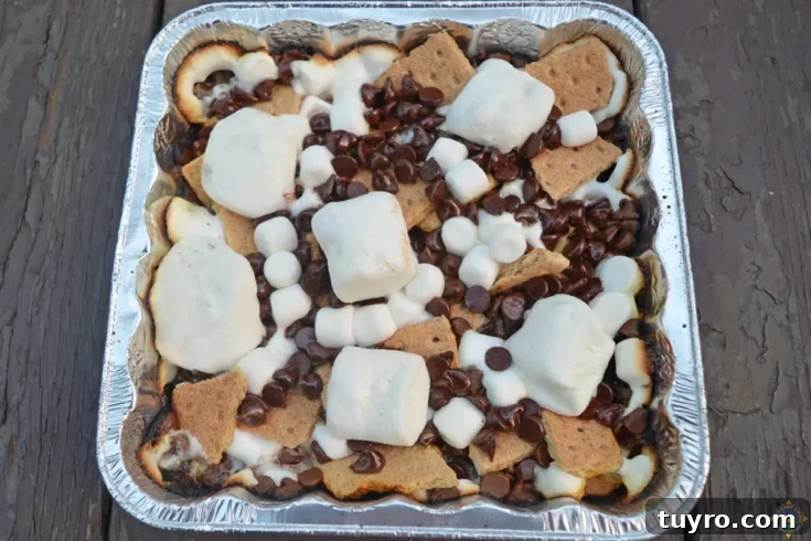 Image for S'mores Nachos