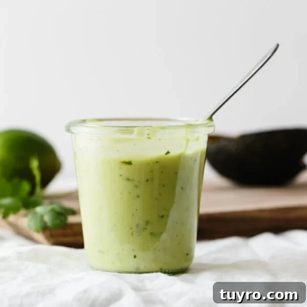 14 Fresh Salad Dressings and Vinaigrettes You’ll Love 14 A creamy avocado dressing.
