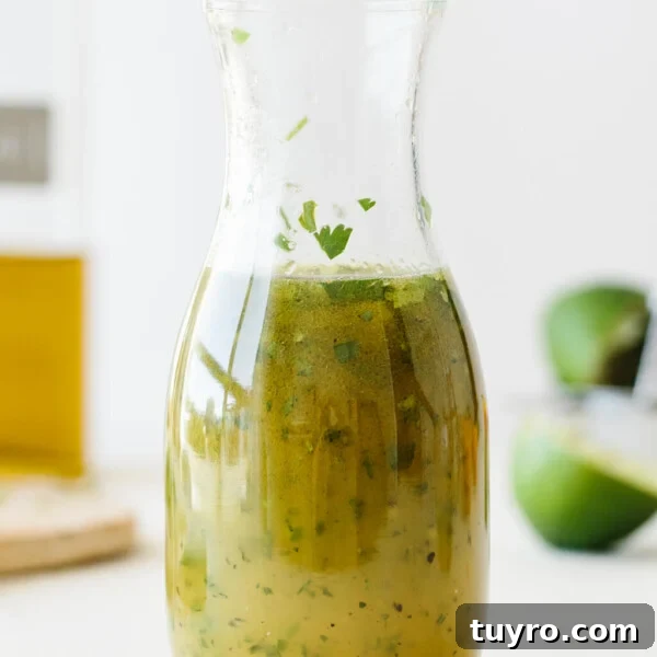14 Fresh Salad Dressings and Vinaigrettes You’ll Love 7 Citrus lime vinaigrette.